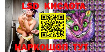 гидропоника Будённовск