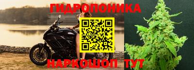 гидропоника Будённовск