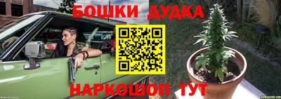гидропоника Будённовск