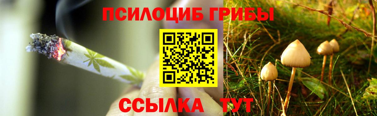 Псилоцибиновые грибы Magic Shrooms Усть-Кут